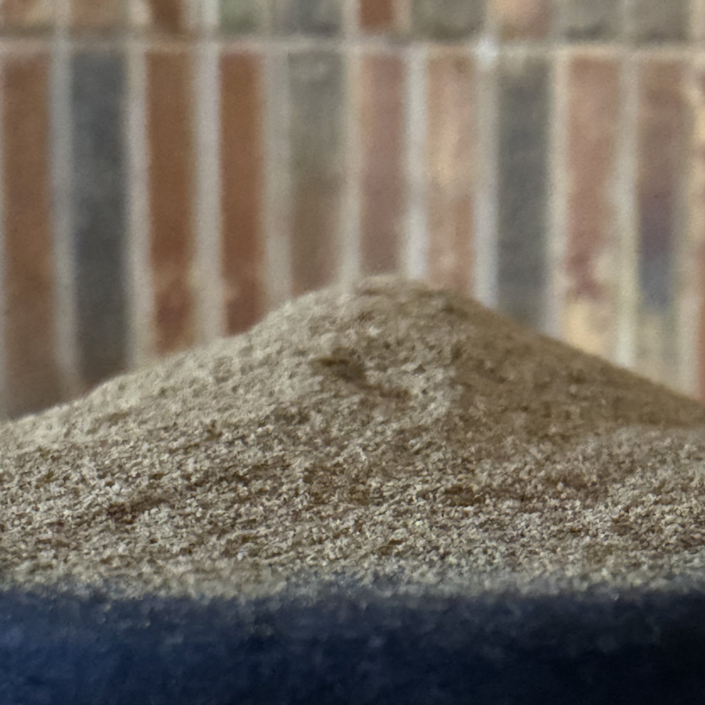 Close-up of DOJO Sensei mushroom powder