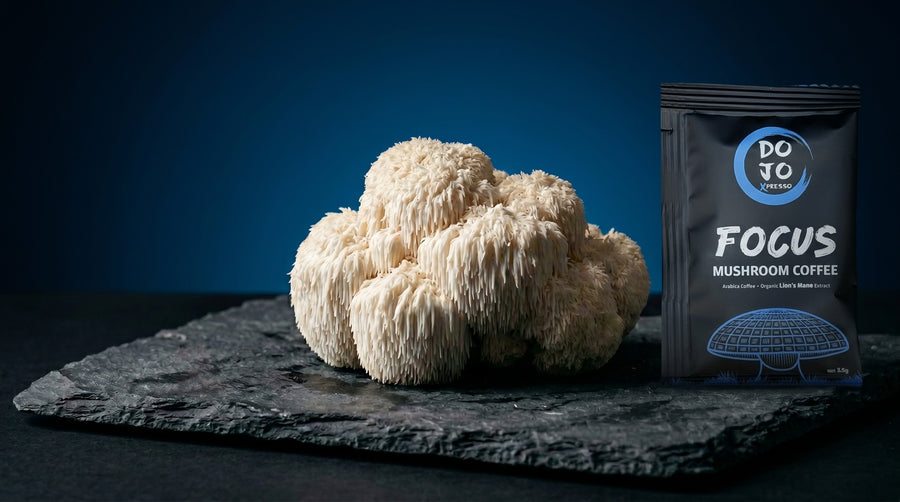 Lion's Mane