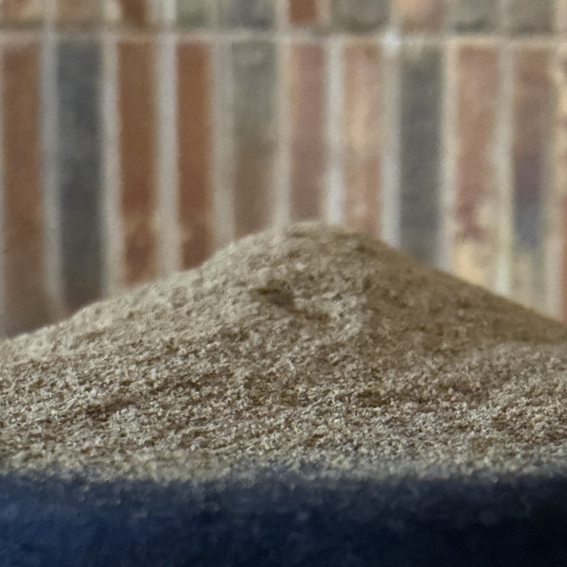 Close-up of DOJO Sensei mushroom powder